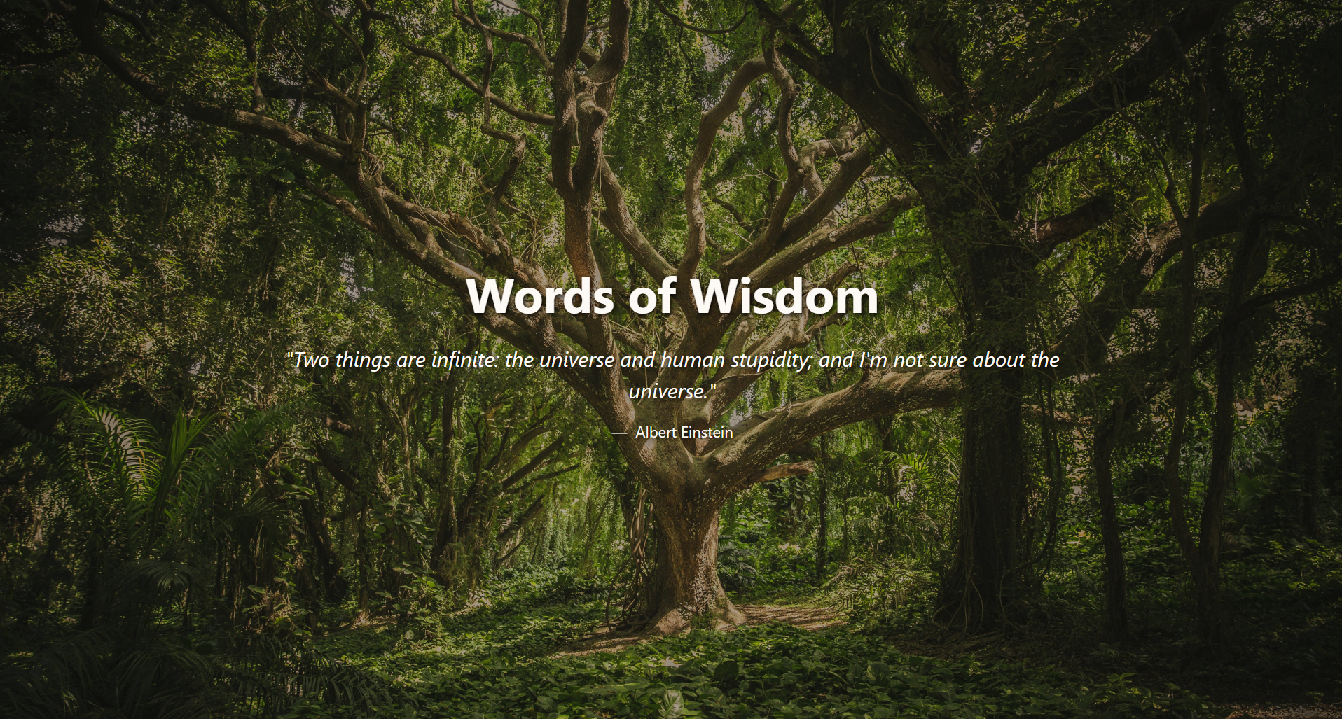 Image of Daily Quote Project